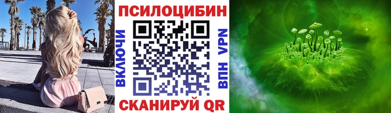 где купить наркоту  Мышкин  OMG tor  Псилоцибиновые грибы Psilocybe 