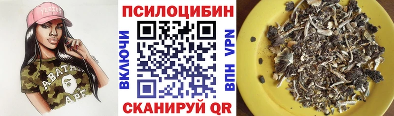Псилоцибиновые грибы Psilocybe Мышкин